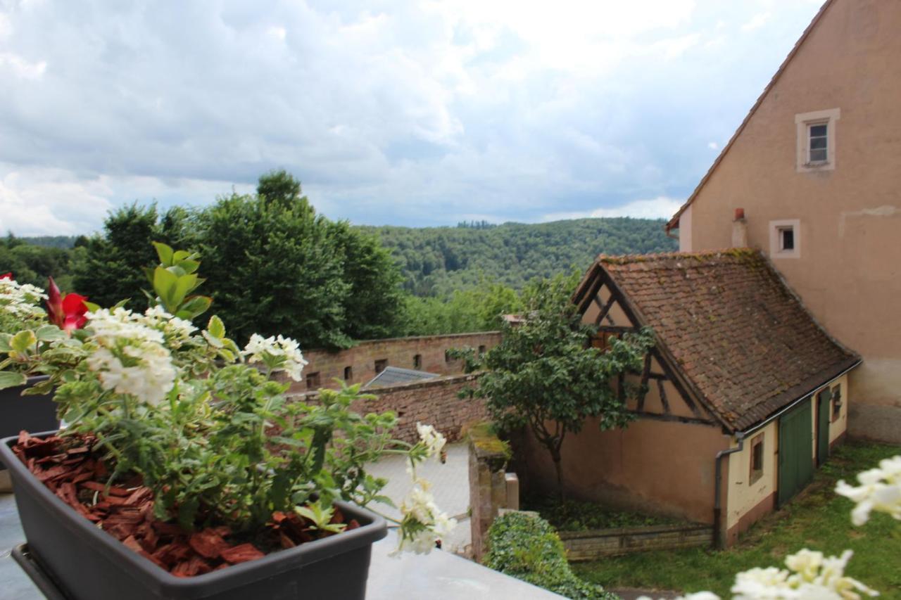 Le Studio "Louise Weiss" Apartamento La Petite-Pierre Exterior foto